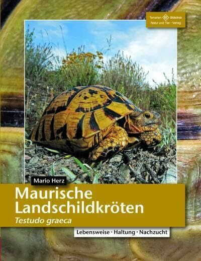 Maurische Landschildkröten: Testudo graeca (Terrarien-Bibliothek)