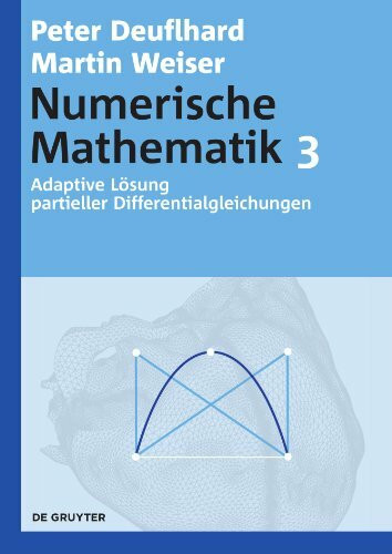 Adaptive Lösung partieller Differentialgleichungen (De Gruyter Lehrbuch)