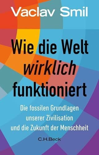 Wie die Welt wirklich funktioniert: Die fossilen Grundlagen unserer Zivilisation und die Zukunft der Menschheit (Beck Paperback)