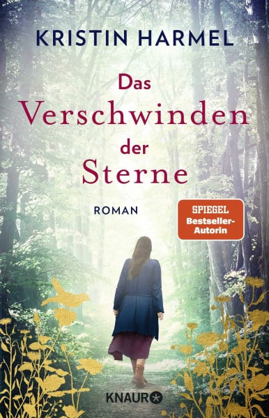 Das Verschwinden der Sterne: Roman