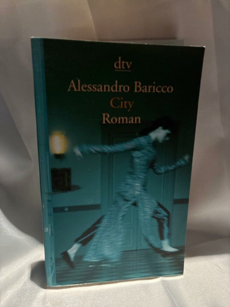 City: Roman (dtv Literatur)