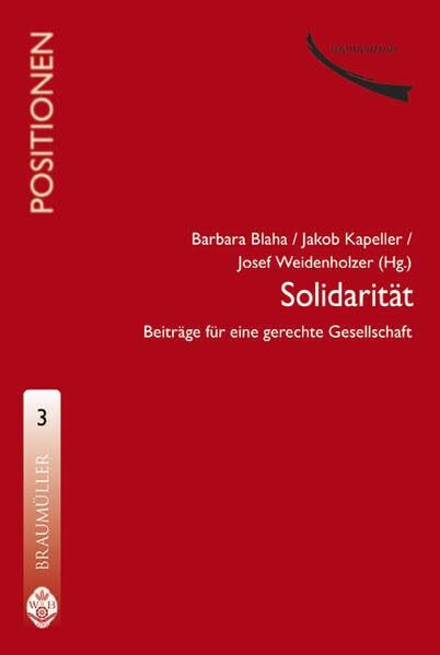 Solidarität: Beiträge für eine gerechte Gesellschaft (Positionen)