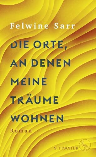 Die Orte, an denen meine Träume wohnen: Roman