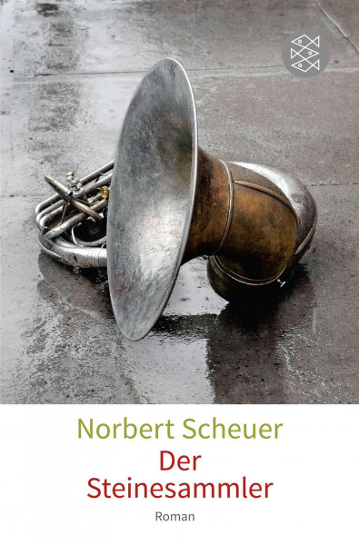 Der Steinesammler