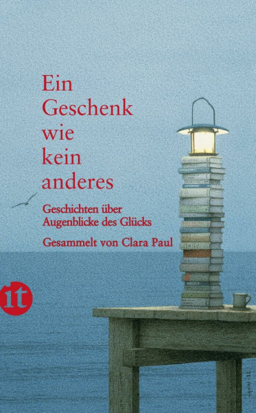 Ein Geschenk wie kein anderes: Geschichten über Augenblicke des Glücks (insel taschenbuch)