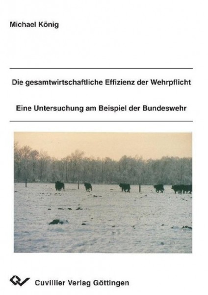 Die gesamtwirtschaftliche Effizienz der Wehrpflicht