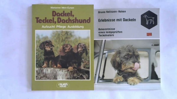 Dackel, Teckel, Dachshund. (6210 449). Aufzucht, Pflege, Ausbildung.
