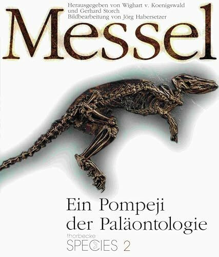 Messel. Ein Pompeji der Paläontologie