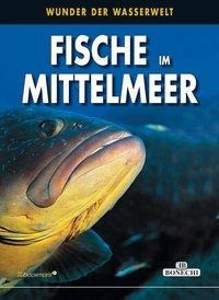 Fische im Mittelmeer