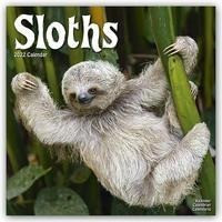 Sloths - Faultiere 2022 - 18-Monatskalender