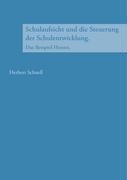 Schulaufsicht und die Steuerung der Schulentwicklung