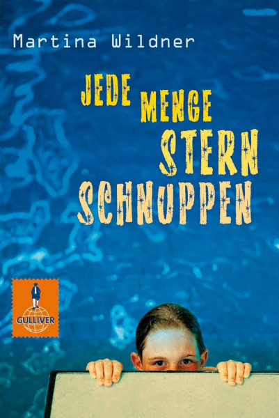 Jede Menge Sternschnuppen: Roman