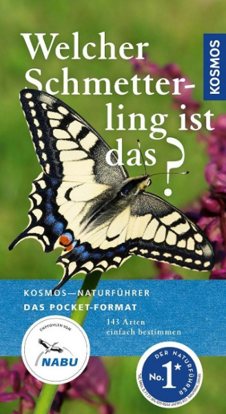 Welcher Schmetterling ist das?