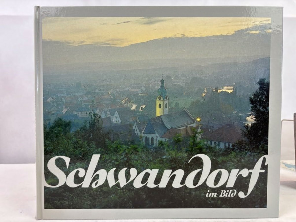 Schwandorf im Bild: Bildband