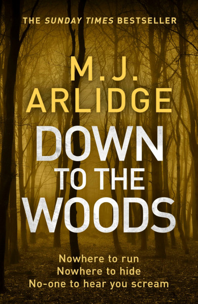 Down to the Woods: DI Helen Grace 8 (Detective Inspector Helen Grace)