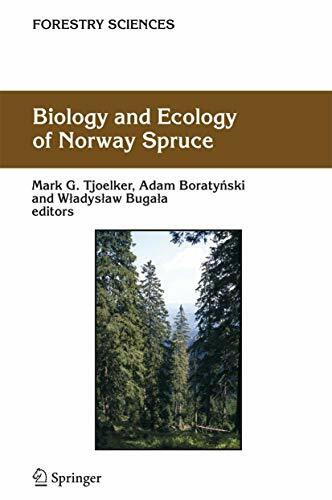 Biology and Ecology of Norway Spruce (Forestry Sciences, 78, Band 78)
