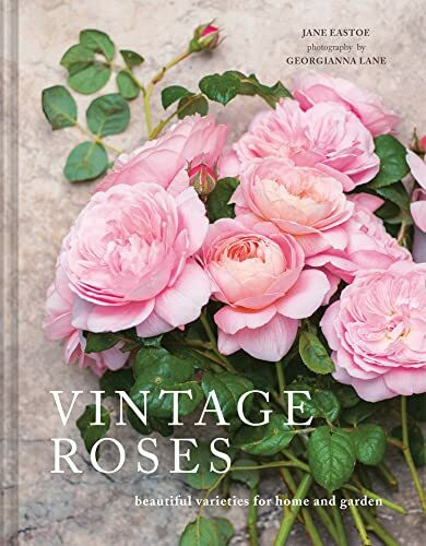 Vintage Roses: A beautiful photographic guide for growing and cutting flower varieties for the home and garden