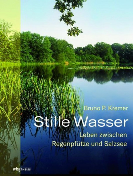 Stille Wasser