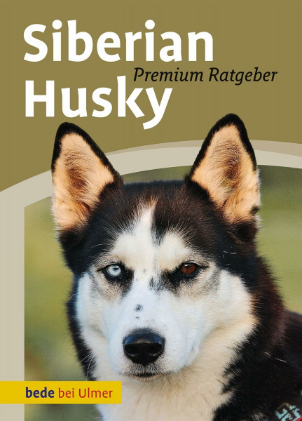 Siberian Husky (Bede Premium Ratgeber)