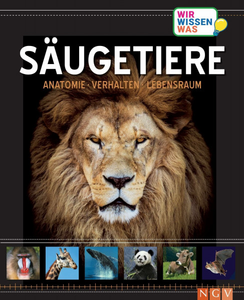 Säugetiere: Anatomie, Verhalten, Lebensräume