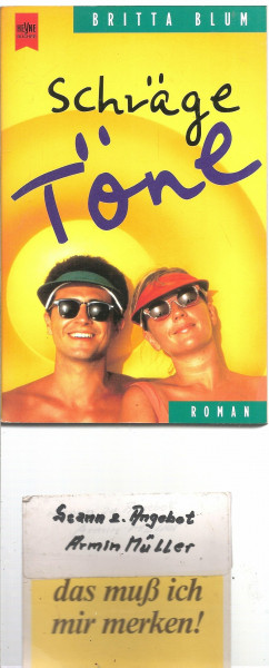 Schräge Töne: Roman