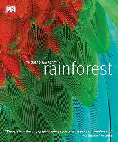 Rainforest