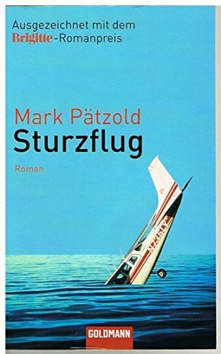 Sturzflug: Roman