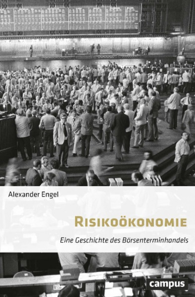 Risikoökonomie