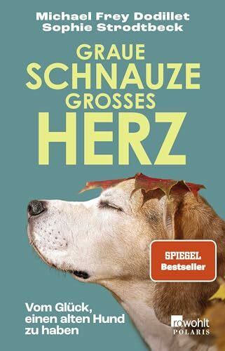 Graue Schnauze, großes Herz: Vom Glück, einen alten Hund zu haben