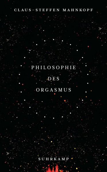 Philosophie des Orgasmus (suhrkamp taschenbuch)
