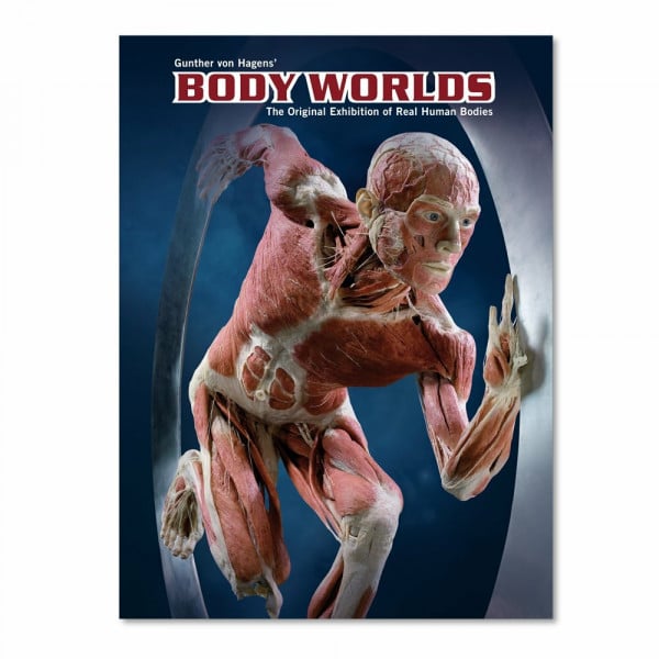 Body Worlds: The Original Exhibition of Real Human Bodies