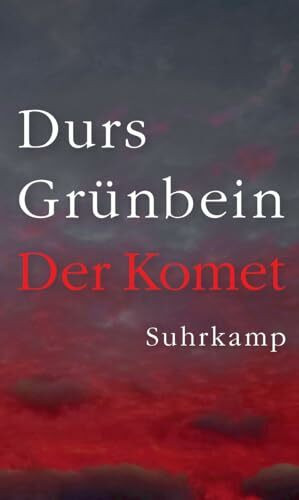 Der Komet: Der Lebensweg einer einfachen Frau bis zum Untergang Dresdens
