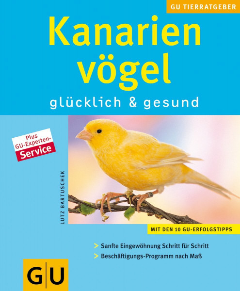Kanarienvögel: glücklich & gesund