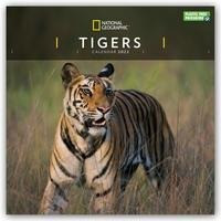 National Geographic Tigers - Tiger 2022