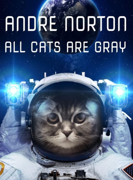 All Cats Are Gray