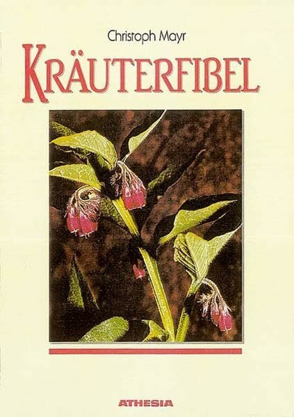 Kräuterfibel: 100 wildwachsende Heilpflanzen
