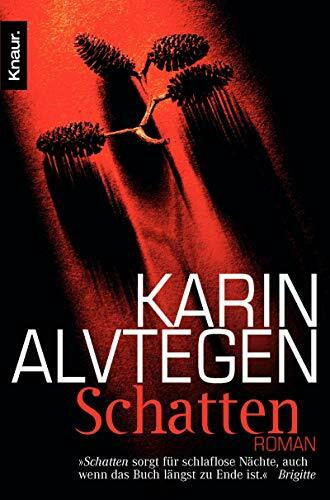 Schatten: Roman