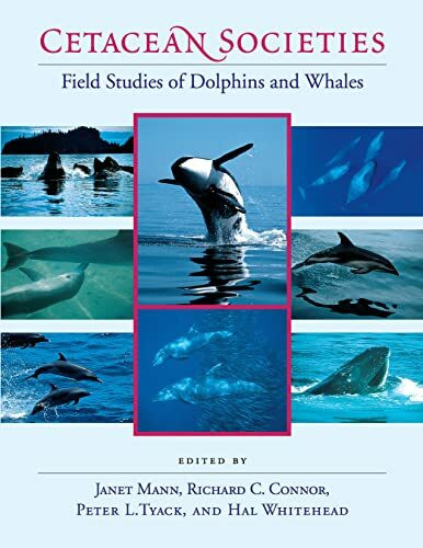 Cetacean Societies: Field Studies of Dolphins and Whales