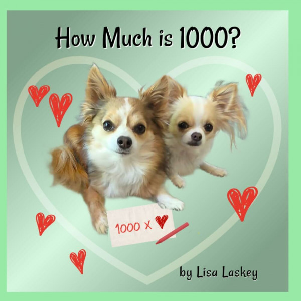 How Much is 1000? (FranDan, Band 9)