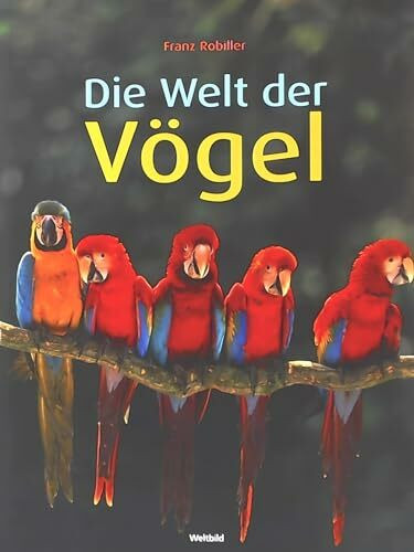 Die Welt der Vögel