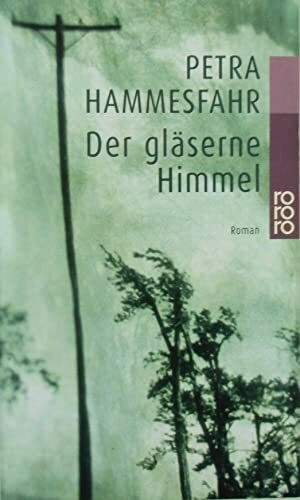 Der gläserne Himmel (rororo / Rowohlts Rotations Romane)