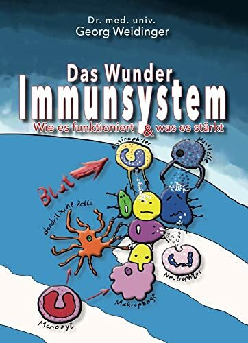 Das Wunder Immunsystem: Wie es funktioniert & was es stärkt