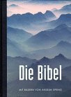 Bibelausgaben, Die Bibel, Anselm-Spring-Bibel