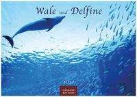 Wale und Delphine 2022 - Format L