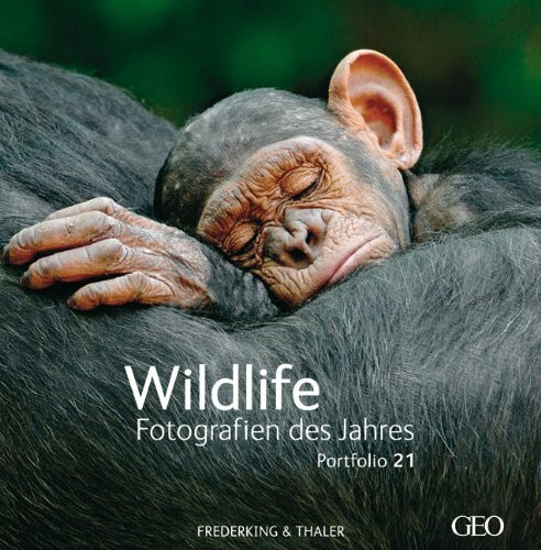 Wildlife Fotografien des Jahres: Portfolio 21