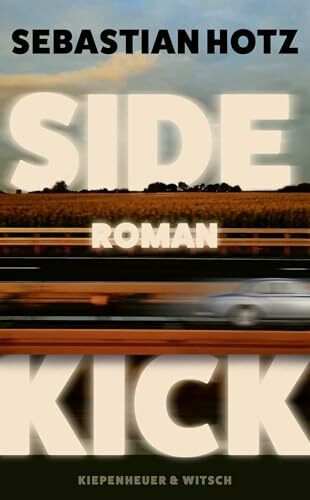 Sidekick: Roman