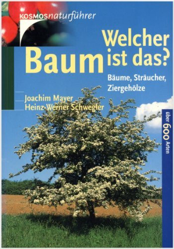 Welcher Baum ist das? Bäume, Sträucher, Ziergehölze