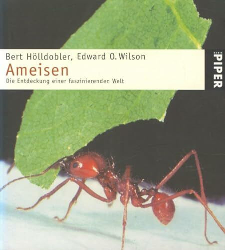 Ameisen: Die Entdeckung einer faszinierenden Welt (Piper Taschenbuch, Band 3414)