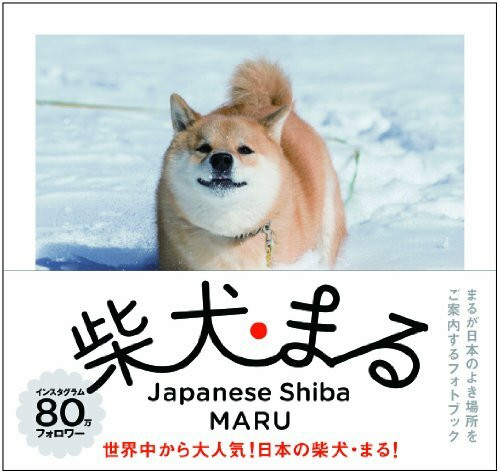 Shibainu maru.