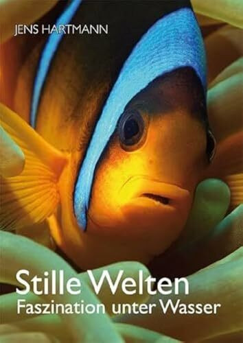 Stille Welten: Faszination unter Wasser